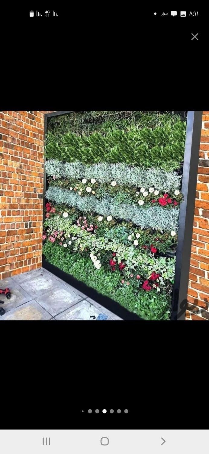 خدمات.باغبانی باتخفیف ویژه درخدمت مشتری|خدمات باغبانی و درختکاری|تهران, سهروردی|دیوار