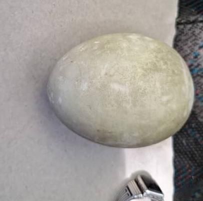 صنعتی مفکات .سنگ مقناطیس . سنگ میخ ذوب کن|جواهرات|قائمشهر, |دیوار