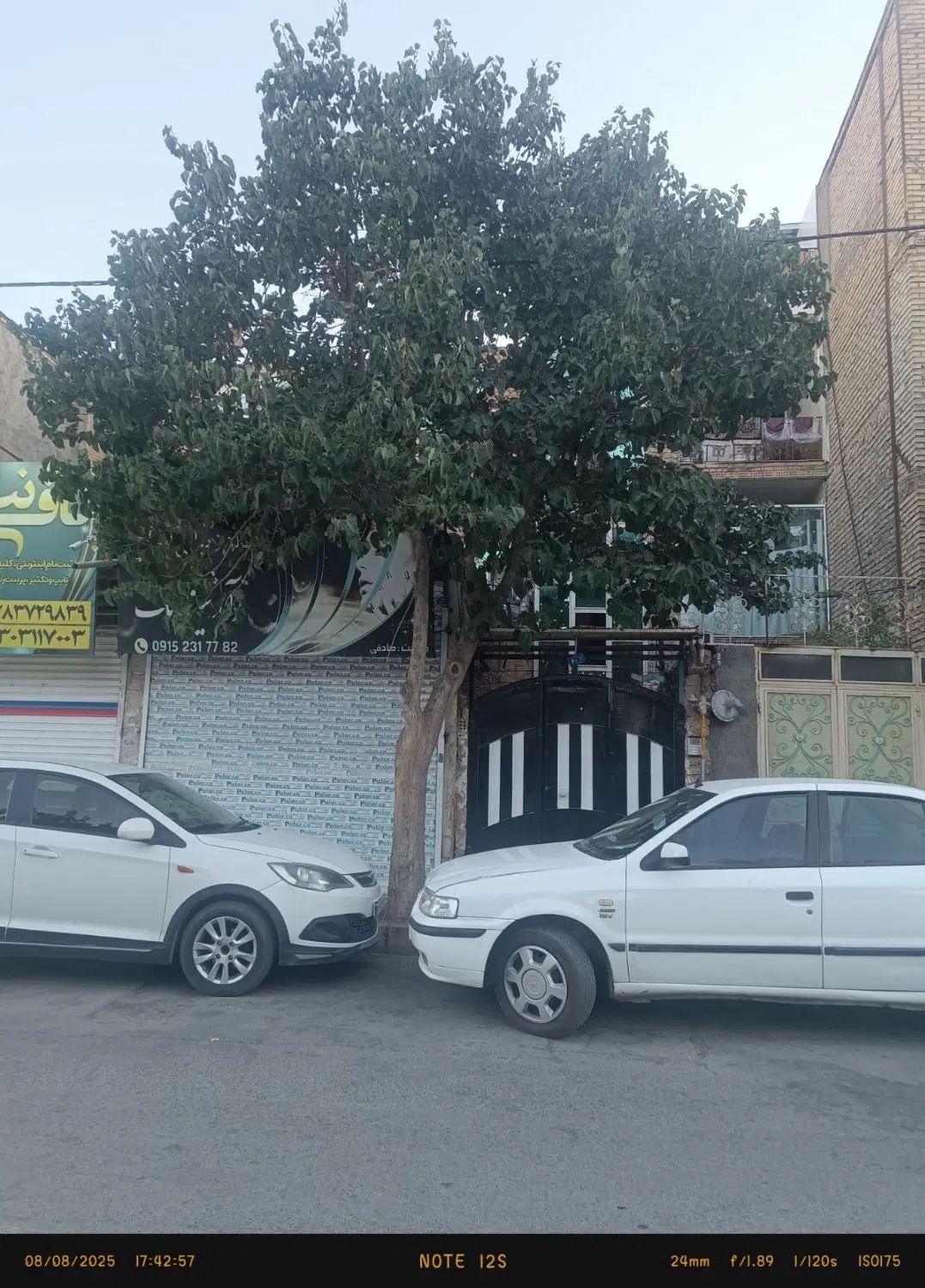 تصویر 7