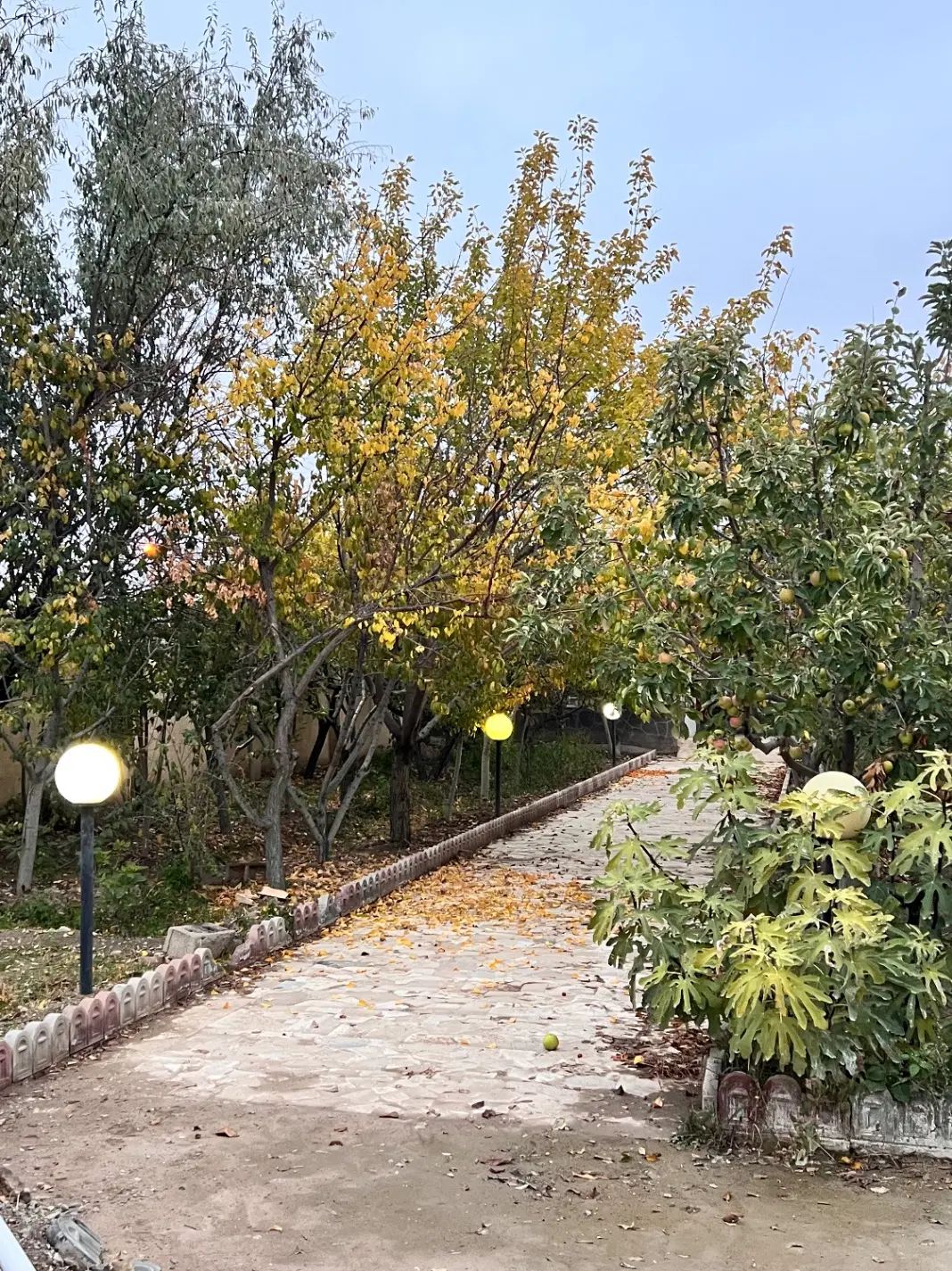۶۵۰متر باغ با سهمیه آب در شهرک ویلایی قیمت منصفانه|فروش زمین و ملک کلنگی|مشهد, درزآب|دیوار
