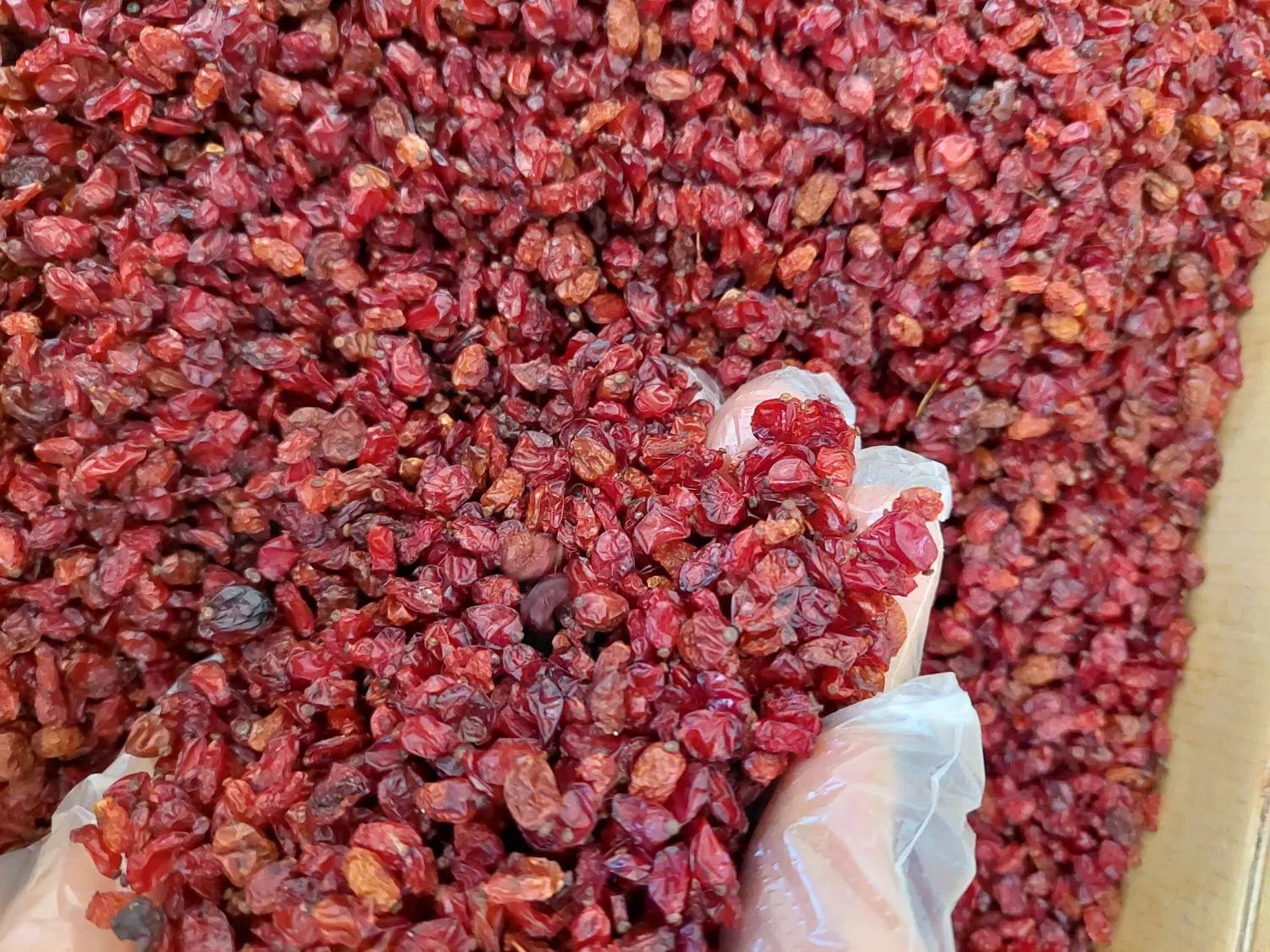 زرشک اناری عمده|خوردنی و آشامیدنی|اصفهان, نقش جهان|دیوار