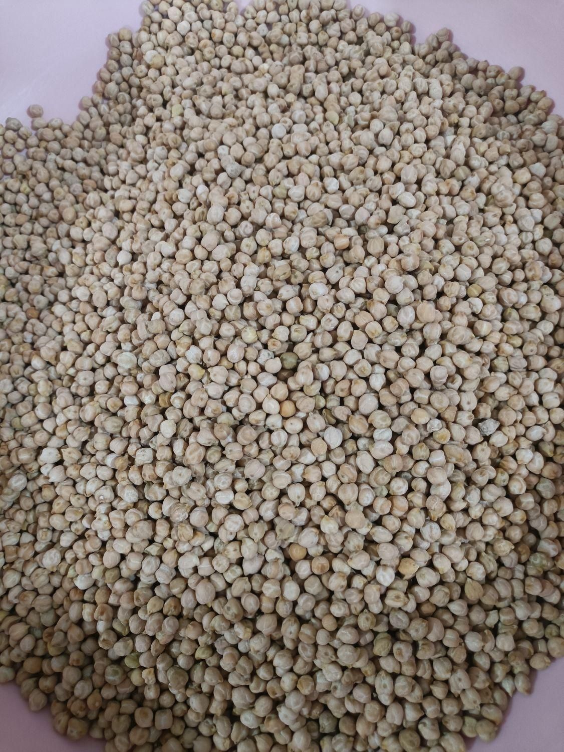 خمیر فلافل خانگی|خوردنی و آشامیدنی|ساوه, |دیوار