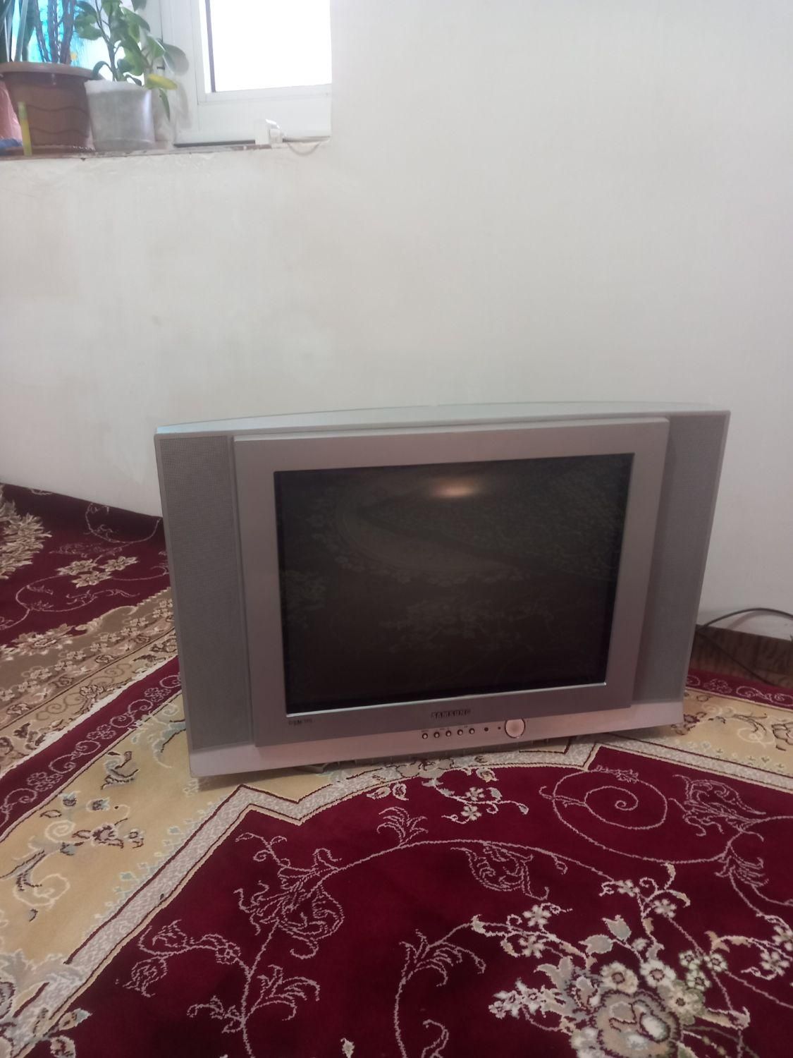 تلویزیون|تلویزیون و پروژکتور|مشگین شهر, |دیوار