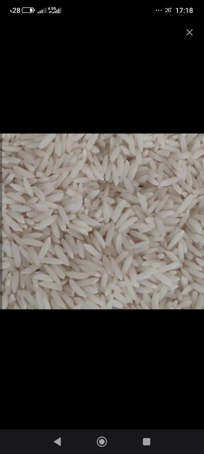 برنج طارم هاشمی با تضمین برگشت کالا|خوردنی و آشامیدنی|تهران, آشتیانی|دیوار