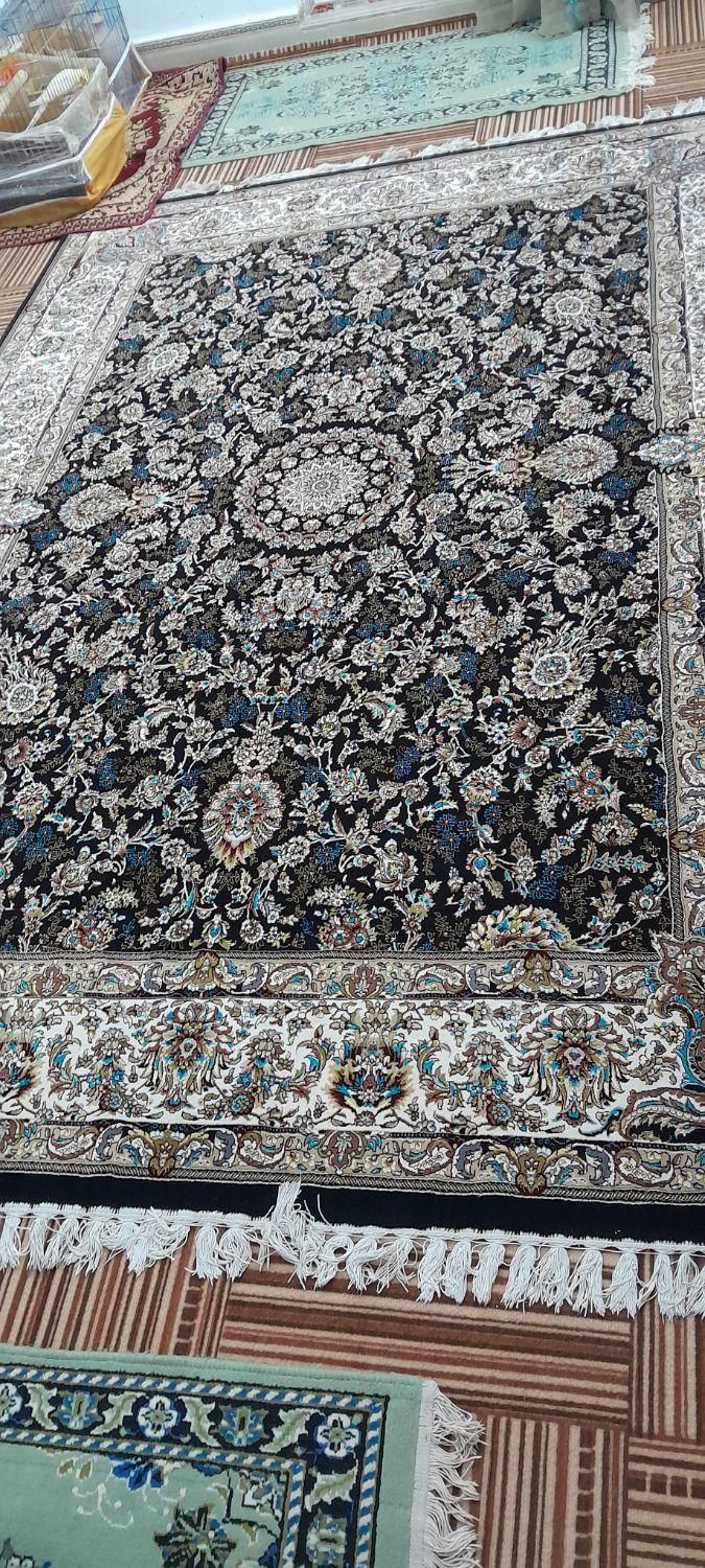 دوتا موجود هست یه رنگ|فرش|زاهدان, |دیوار