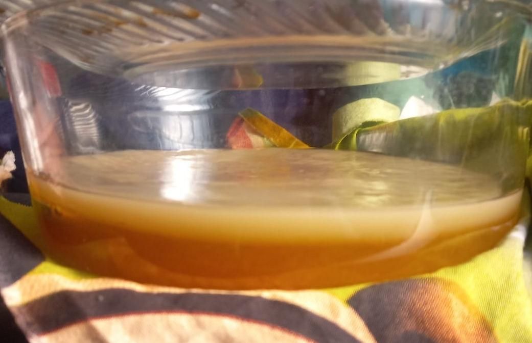 فروش قارچ کامبوجا ونوشیدنی چای کامبوجا|خوردنی و آشامیدنی|تهران, شهرآرا|دیوار