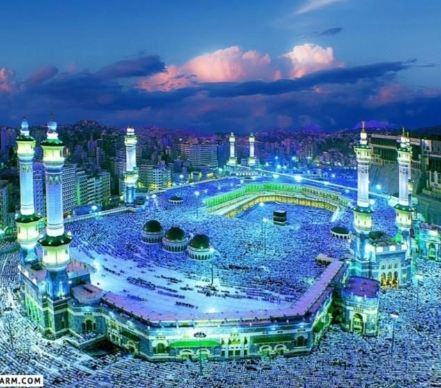 فیش حج واجب اعلام شده|تور و چارتر|تهران, استاد معین|دیوار