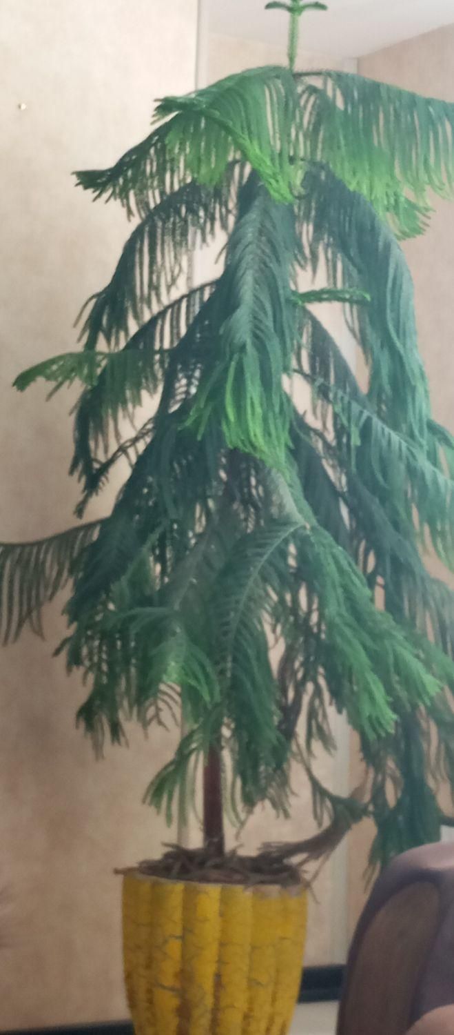 لوازم خانه|حراج|فولادشهر, C7|دیوار