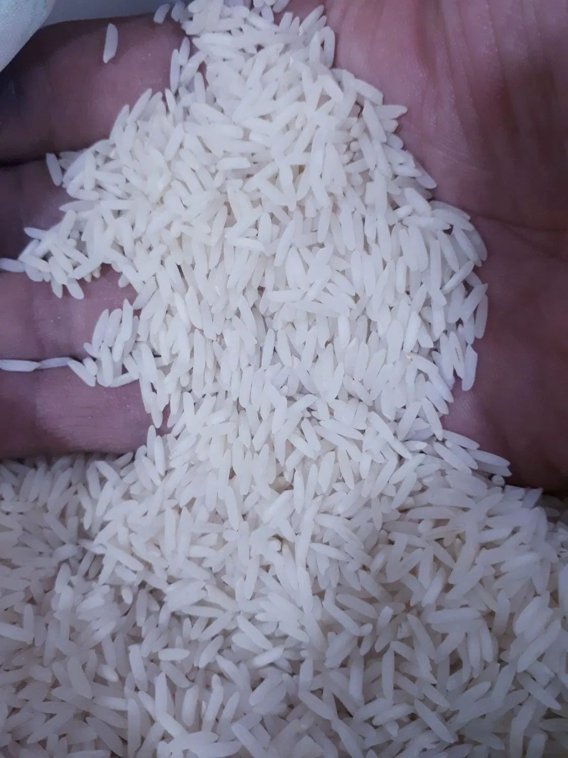 برنج طارم هاشمی مازندران|خوردنی و آشامیدنی|تهران, نظام‌آباد|دیوار