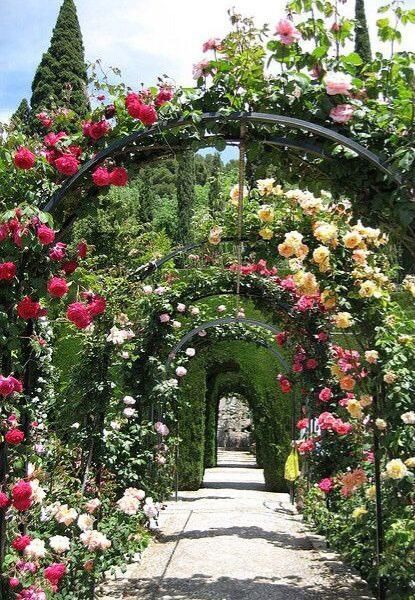 باغبانی ودرختکاری هرس نگهداری باغ|خدمات باغبانی و درختکاری|نجفآباد, ویلاشهر|دیوار