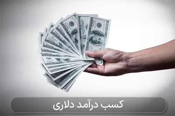 7 مهارت درآمد دلاری|فعالیت داوطلبانه|اصفهان, فیض|دیوار