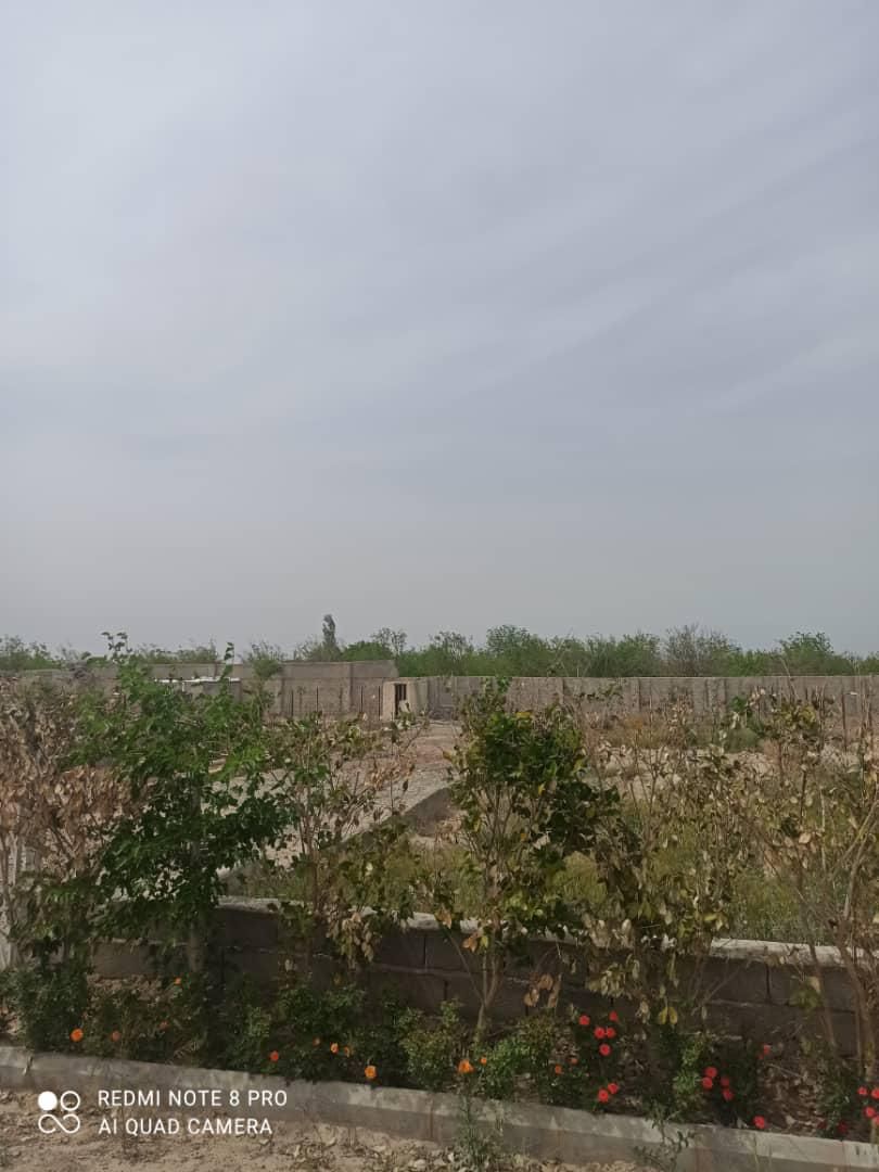 باغچه داخل مجموعه چهاردیواری|فروش زمین و ملک کلنگی|رباطکریم, انجم آباد|دیوار