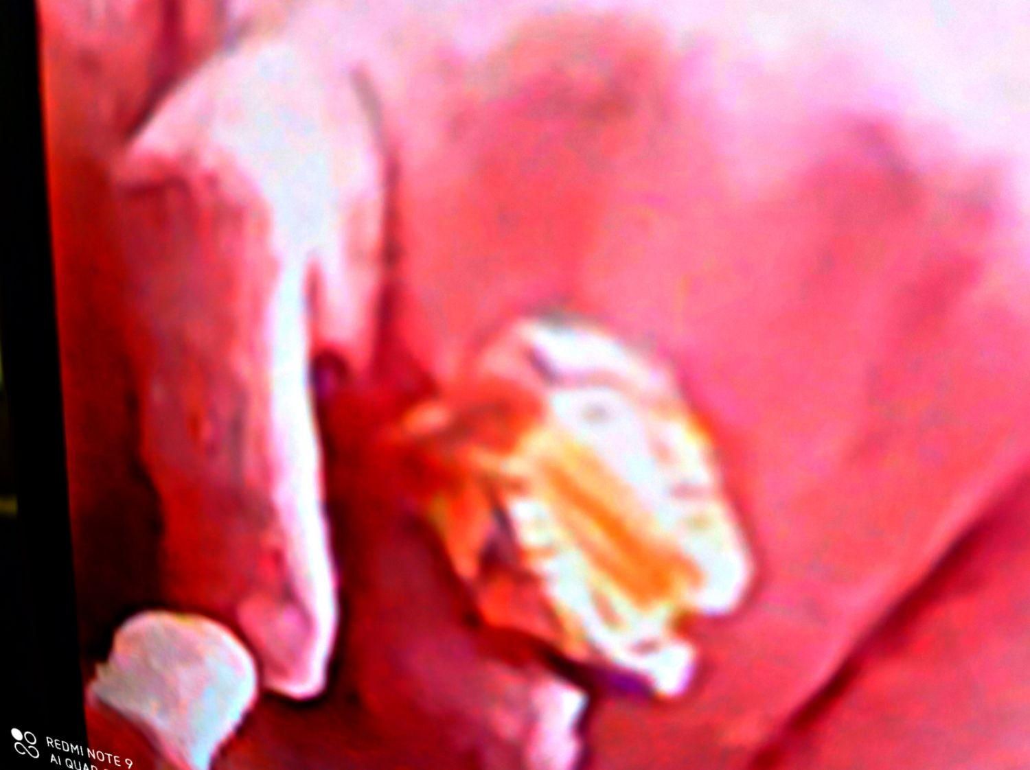 انگشتر طلای من گمشده|اشیا|کاشان, ملک آباد|دیوار