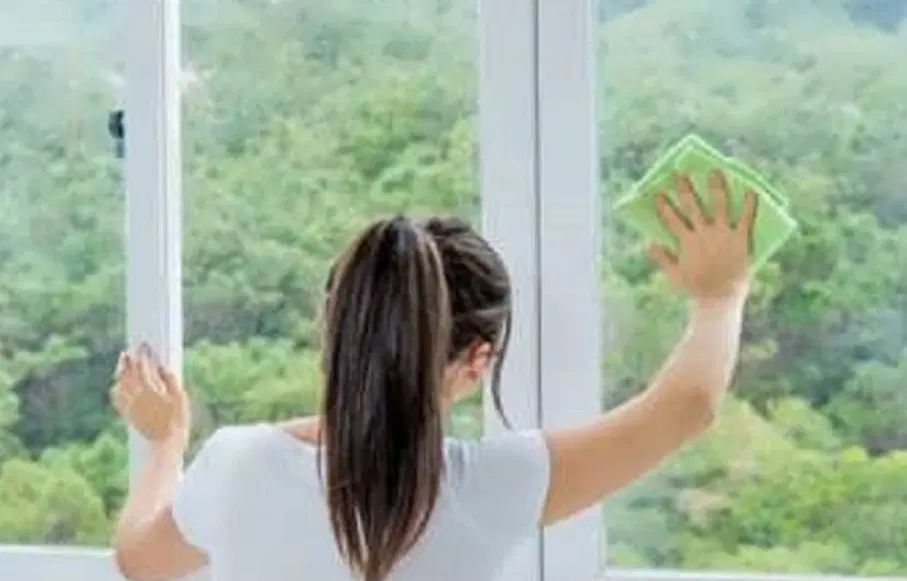 شرکت خدمات نظافتچی ماهان  نیروهای ویژه و لوکس|خدمات نظافت|تهران, تجریش|دیوار