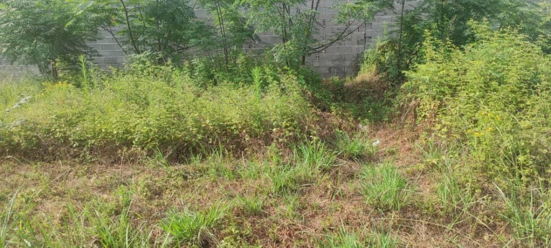 فروش فوری/زمین مسکونی/شهررشت/موقعیت عا،لی|فروش زمین و ملک کلنگی|رشت, فرزانه|دیوار