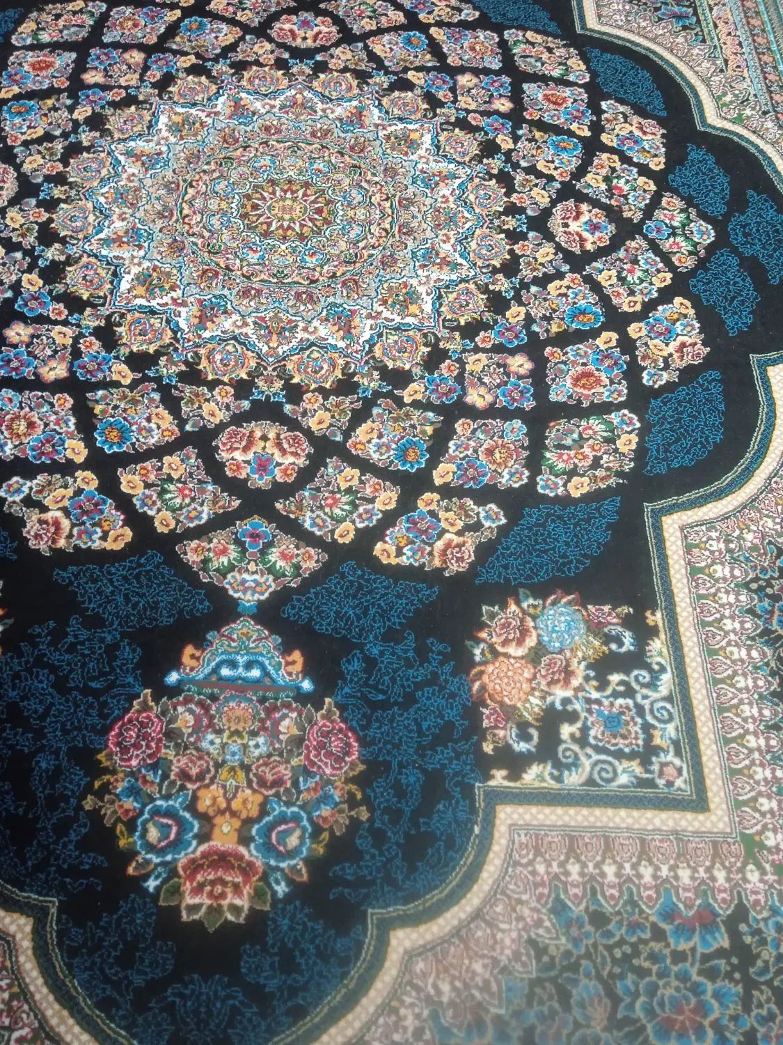 فرش سورمه ای تمیز|فرش|مشهد, هفت تیر (حافظ)|دیوار