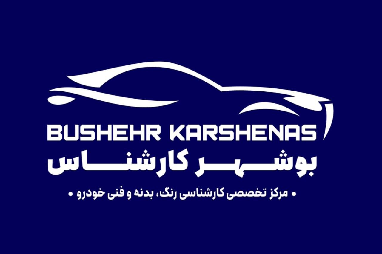 کارشناسی رنگ و بدنه و فنی خودرو|خدمات موتور و ماشین|بوشهر, |دیوار