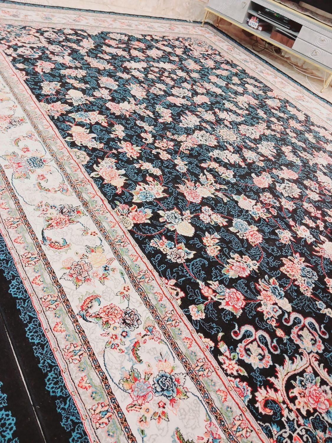قالی ۱۲متری نونو|فرش|شیراز, تاچارا|دیوار