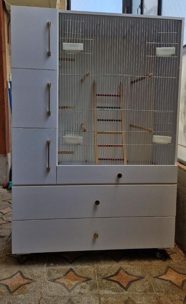 قفس برنده زیبا شکیل|لوازم جانبی حیوانات|شیراز, شهرک گلستان|دیوار