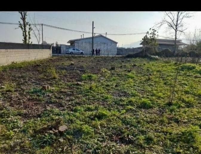 فروش ۴۵۲متر زمین مسکونی بره اسفالت|فروش زمین و ملک کلنگی|شاندرمن, |دیوار