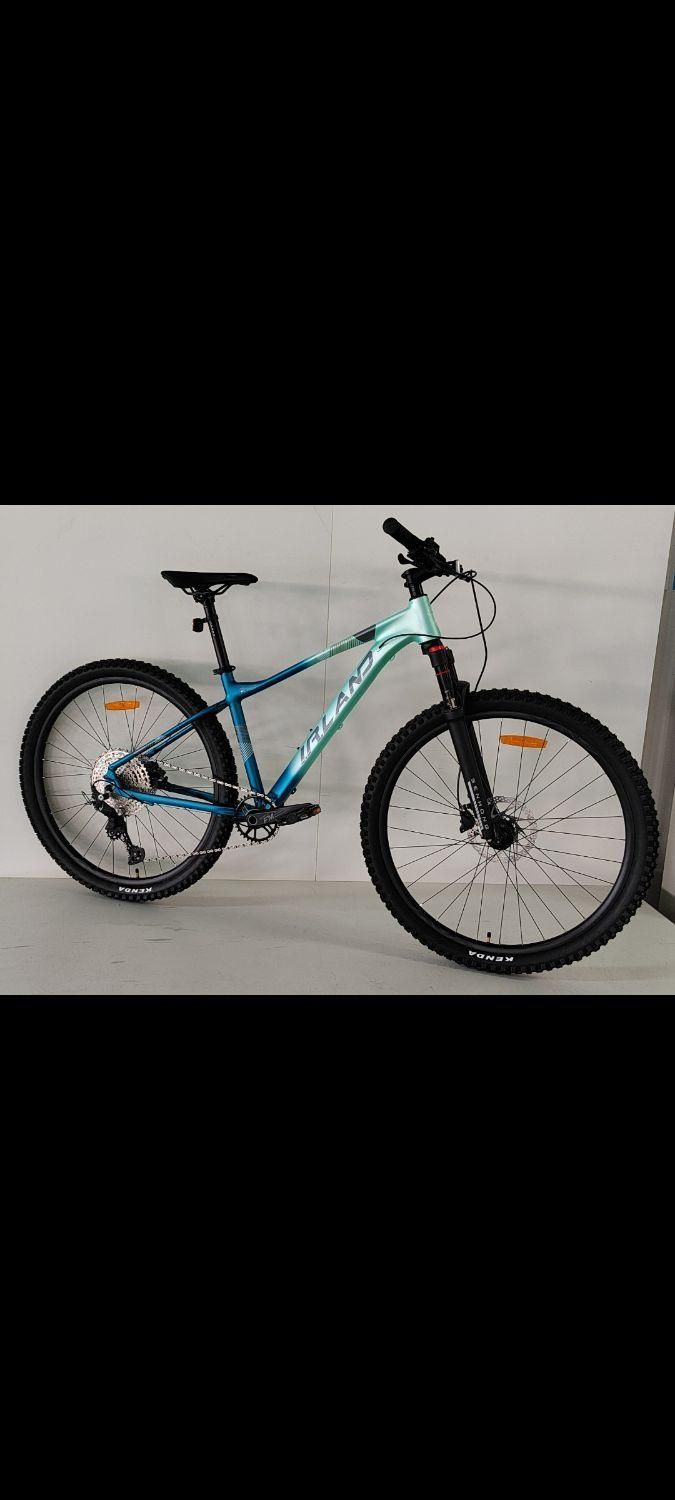 دوچرخه حرفه ای کوهستان سایز ۲۹آکبند شیمانو shimano|دوچرخه، اسکیت، اسکوتر|تهران, نیروی هوایی (پیروزی)|دیوار