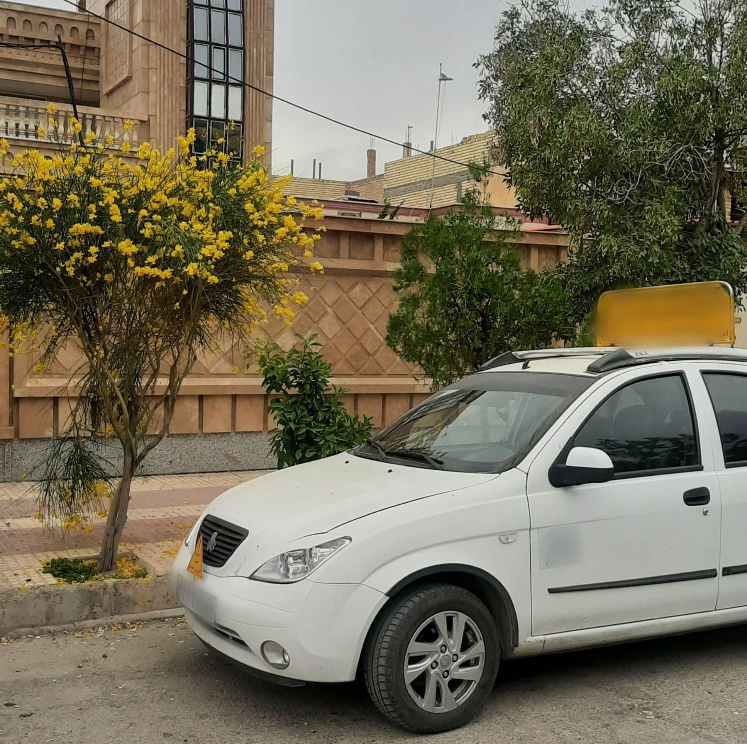 آموزش رانندگی خصوصی بانوان دنده دستی و اتومات|خدمات آموزشی|شیراز, زرهی|دیوار