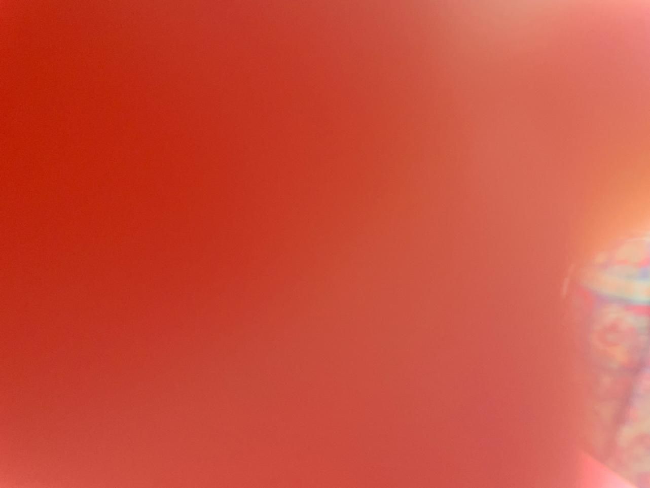 اجاره آپارتمان ۱۲۰ متری در آیت الله کاشانی|اجارهٔ آپارتمان|مشهد, آیت الله کاشانی|دیوار