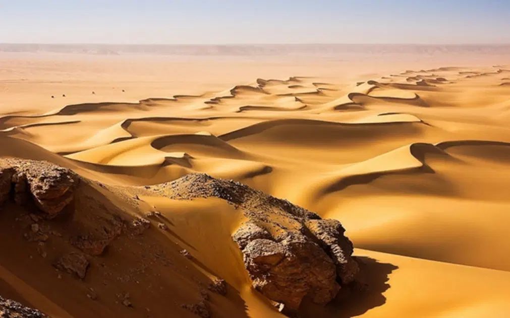 خودرو آفروداجاره همراه باراننده داریم|خودرو اجاره‌ای|کاشان, درب اصفهان|دیوار