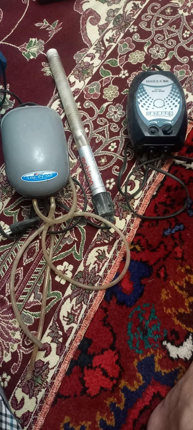 وسایل اکواریوم|ماهی|تبریز, |دیوار