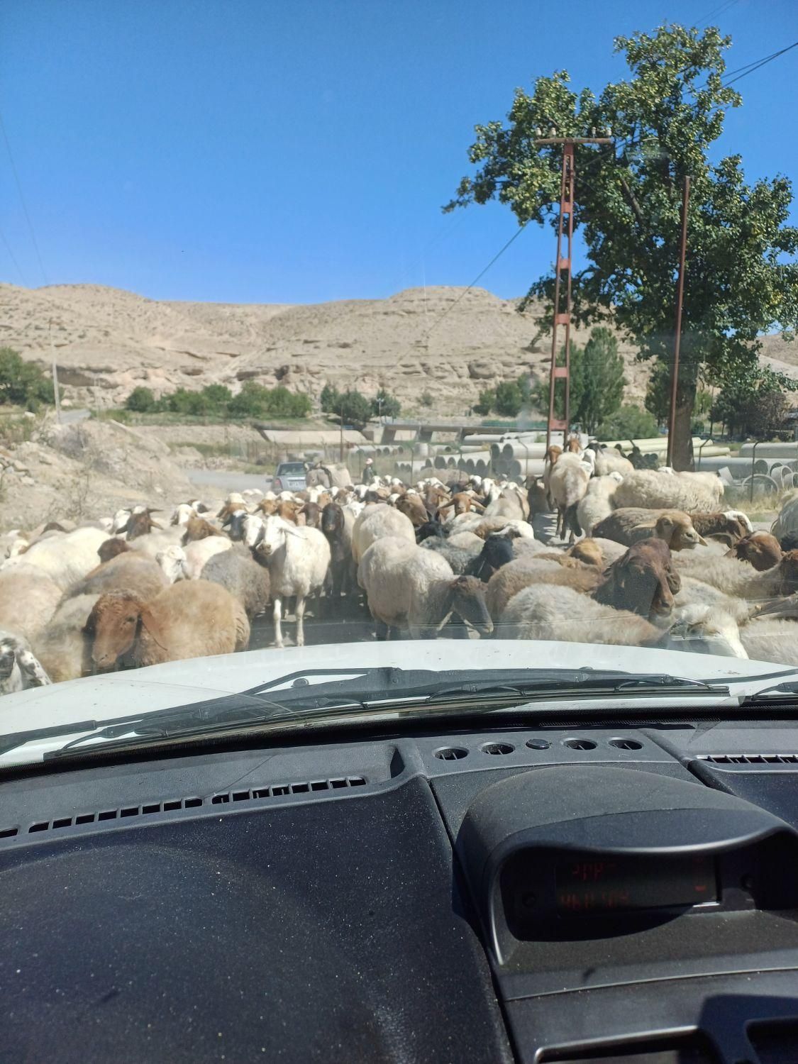 ۵۰۰متر زمین تجاری گارگاهی چناران انتهای امام خمینی|فروش زمین و ملک کلنگی|مشهد, شهرک رازی (شهرک غرب)|دیوار