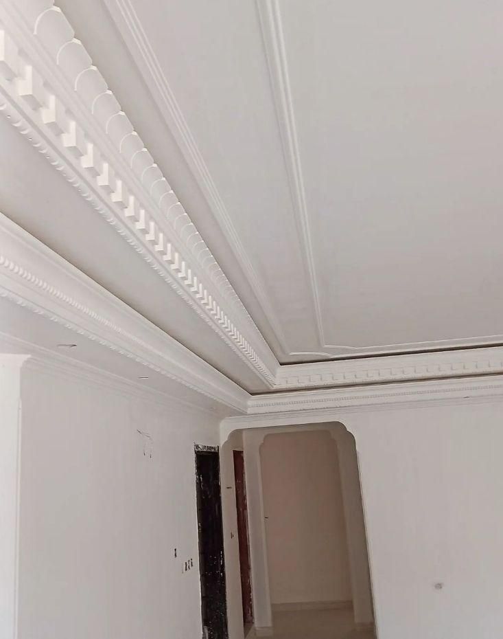 گچکاری وگچبری حرفه ای بااکیب۴ نفره درسریعترین زمان|خدمات پیشه و مهارت|لشت نشا, |دیوار