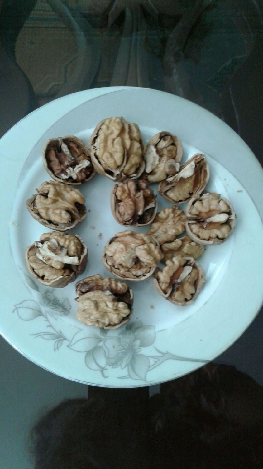 گردوی خوشمزه تویسرکان|خوردنی و آشامیدنی|قم, پردیسان|دیوار