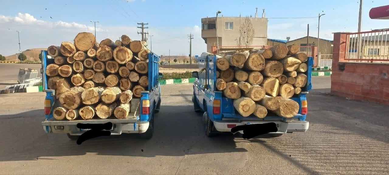 خرید انواع چوب|خدمات باغبانی و درختکاری|اراک, |دیوار