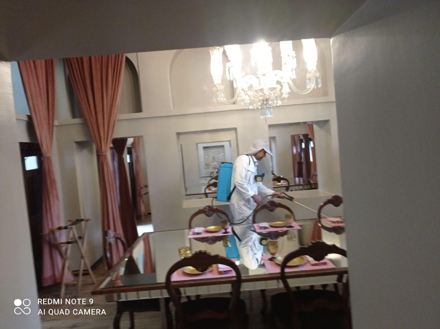 سمپاشی سوسک.ساس حشرات خونگی|خدمات نظافت|گرگان, |دیوار