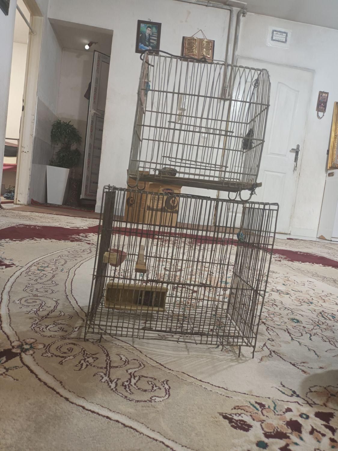 قفس پرنده|لوازم جانبی حیوانات|بومهن, |دیوار