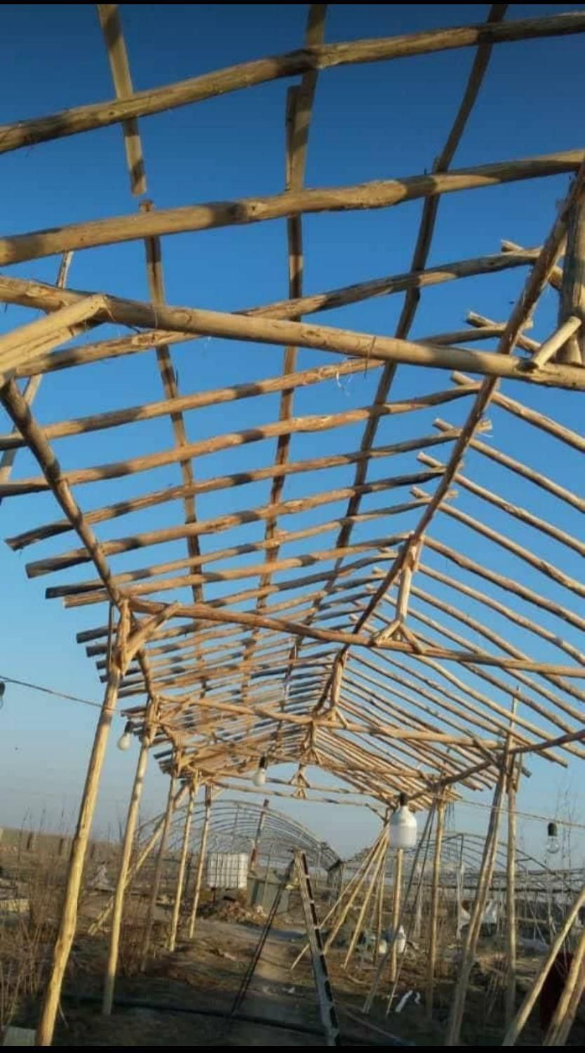 تالار انگور وثبات|خدمات باغبانی و درختکاری|کاشان, فاز ۱ ناجی آباد|دیوار