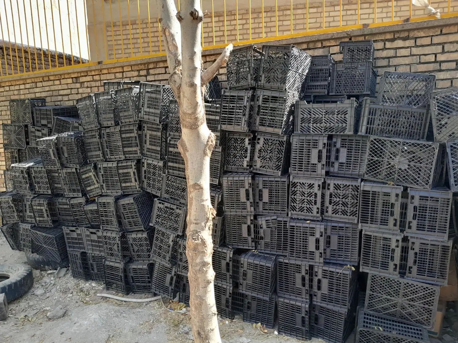فروش سبد۱۴کیلویی جا سیب و گوجه درحدنوقیمت مناسب|عمده‌فروشی|بروجرد, |دیوار