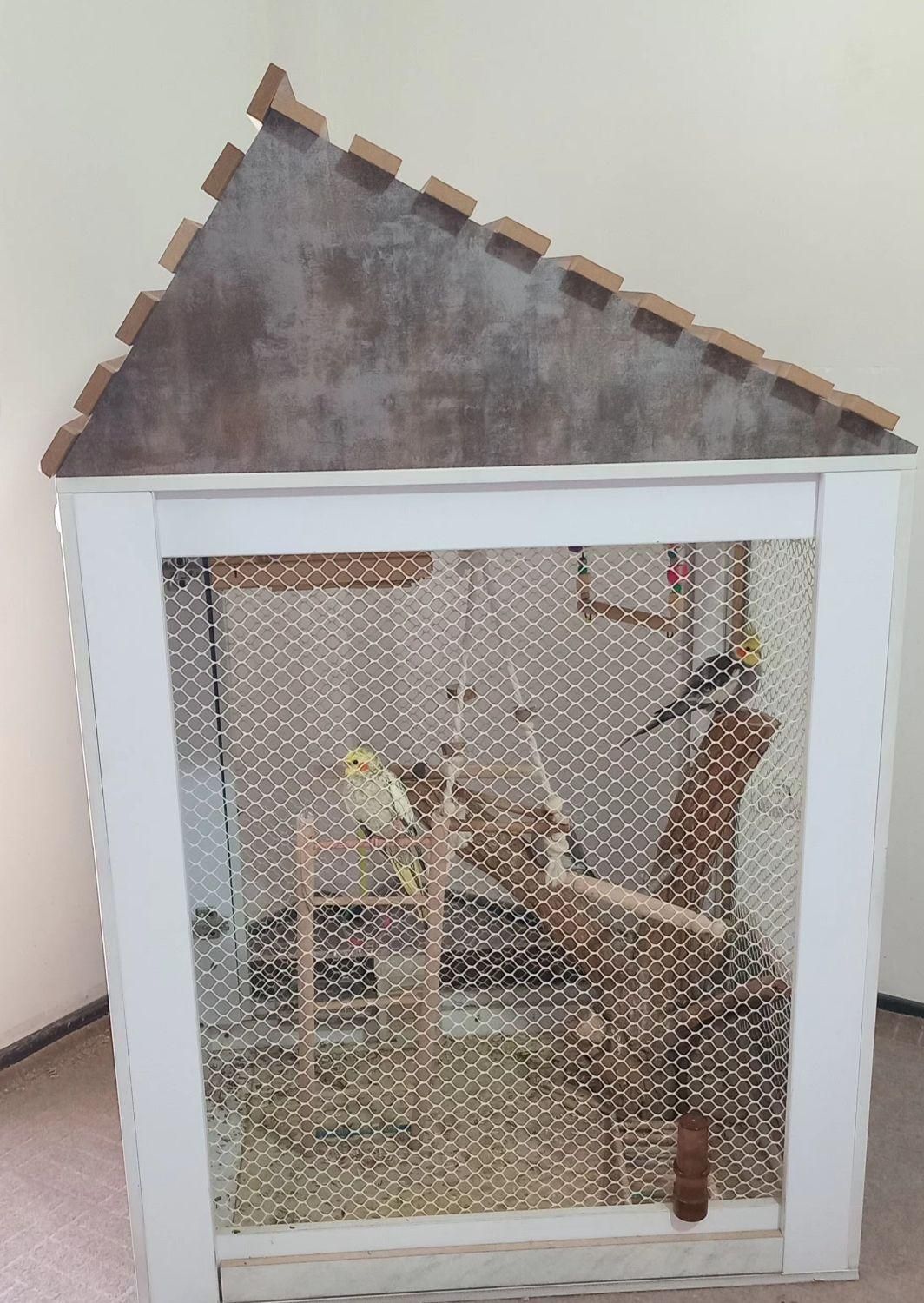 قفس عروس هلندی|لوازم جانبی حیوانات|هشتگرد, شهرک صنعتی هشتگرد|دیوار