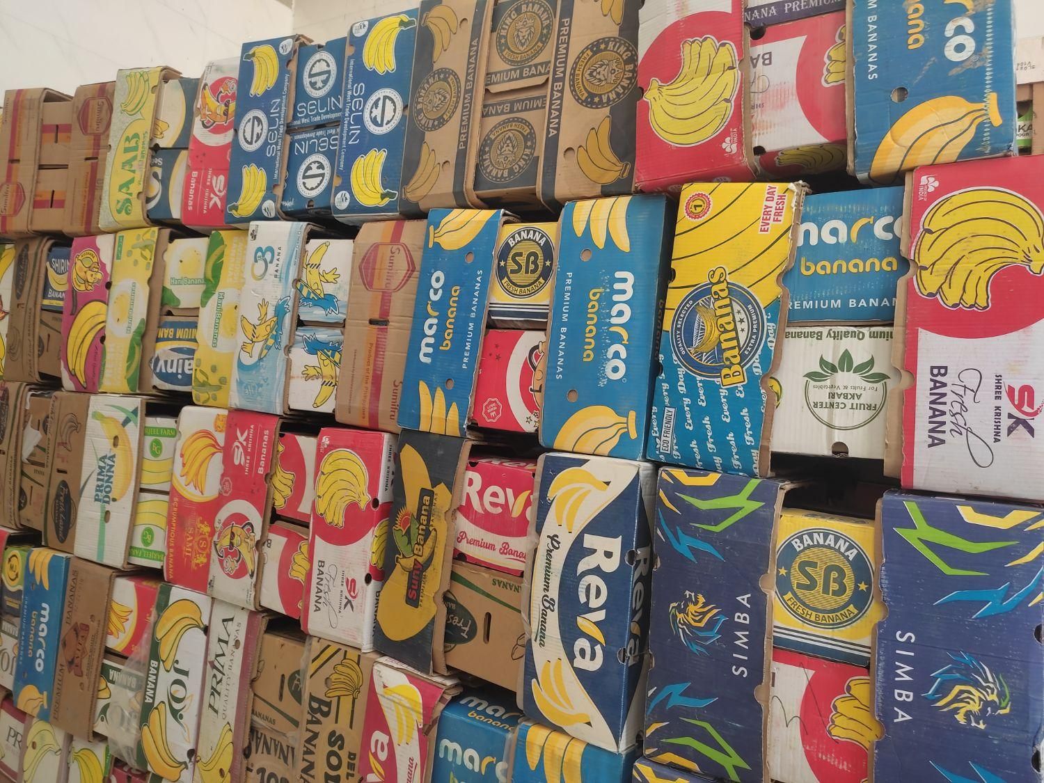 کارتن کارتون موزی و مواد سبدی|عمدهفروشی|شیراز, وزیرآباد|دیوار