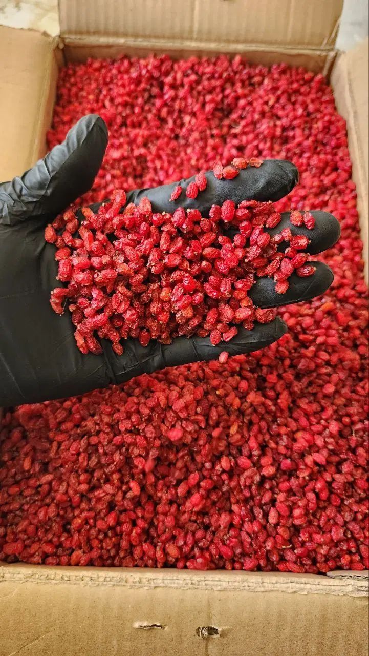 زعفران سوپر نگین خراسان|خوردنی و آشامیدنی|رشت, رودباری|دیوار