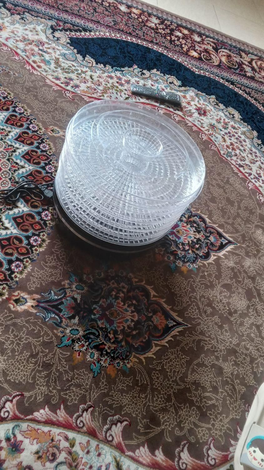 میوه خشک کن مکسی|سایر لوازم برقی|اصفهان, تیران|دیوار
