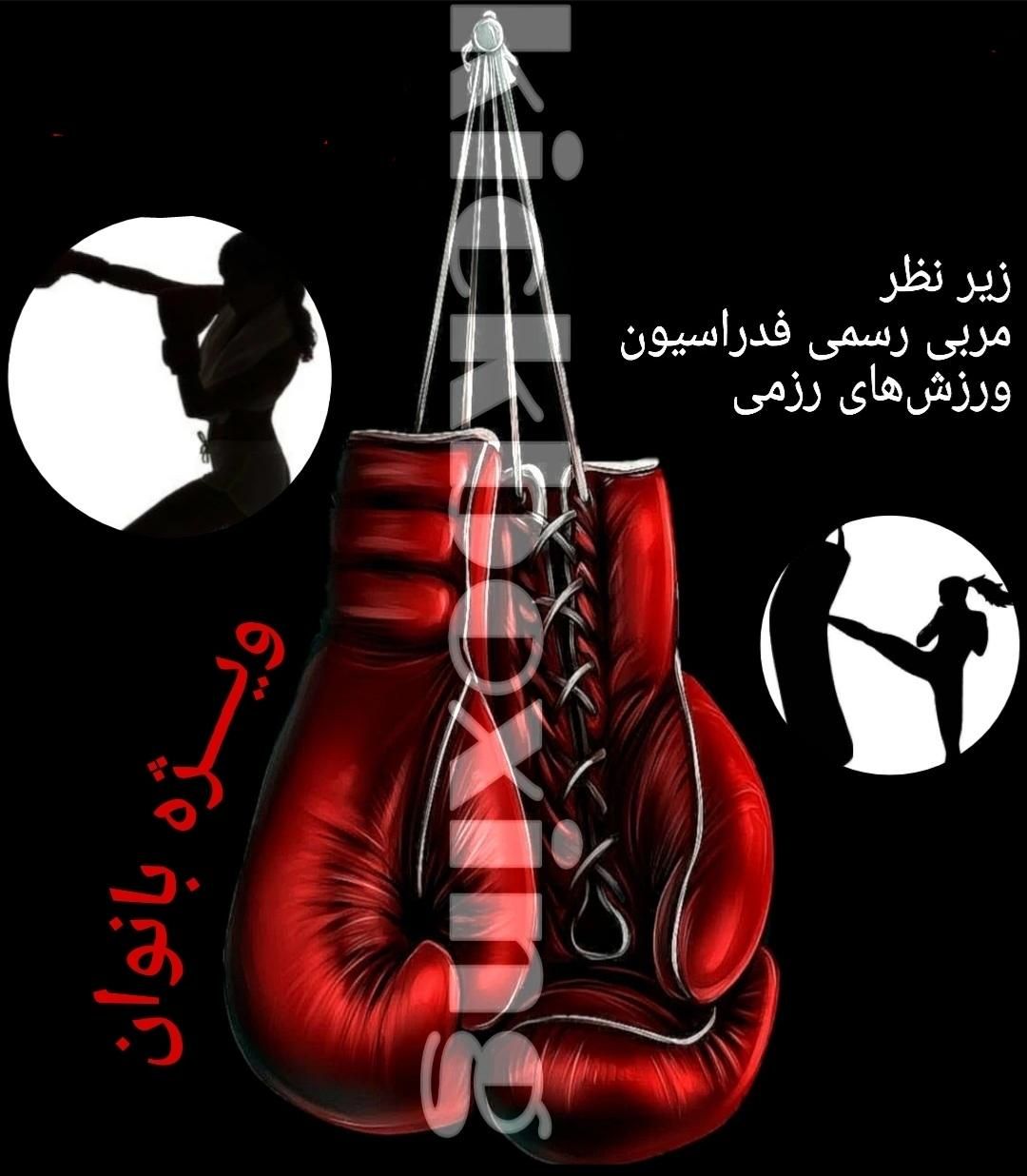 آموزش تخصصی رزمی|خدمات آموزشی|شیراز, قدوسی شرقی|دیوار