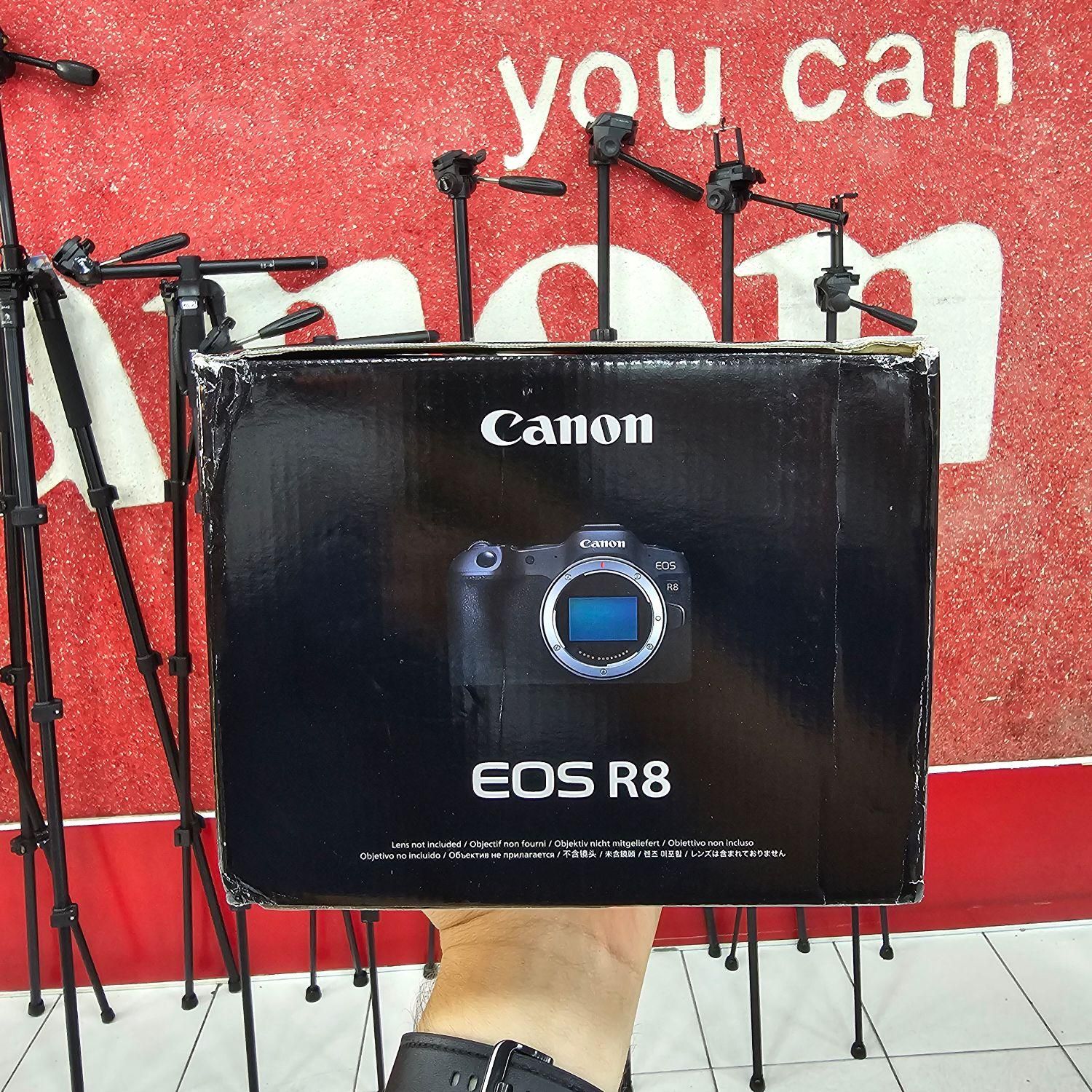 دوربین کانن CANON EOS R8 بدنه|دوربین عکاسی و فیلم‌برداری|شیراز, ملاصدرا|دیوار