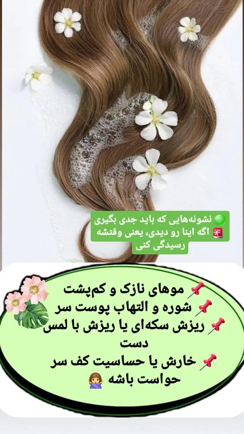 فروش شامپوی گیاهی ارگانیک تصمینی|آرایشی، بهداشتی، درمانی|اصفهان, ملاصدرا|دیوار