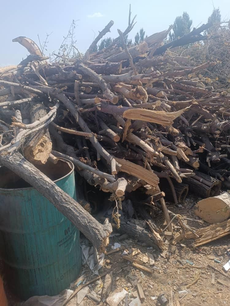 انواع چوب تخته -ضایعات شیشه -نئوپان و تنه درخت|عمدهفروشی|تهران, خزانه|دیوار