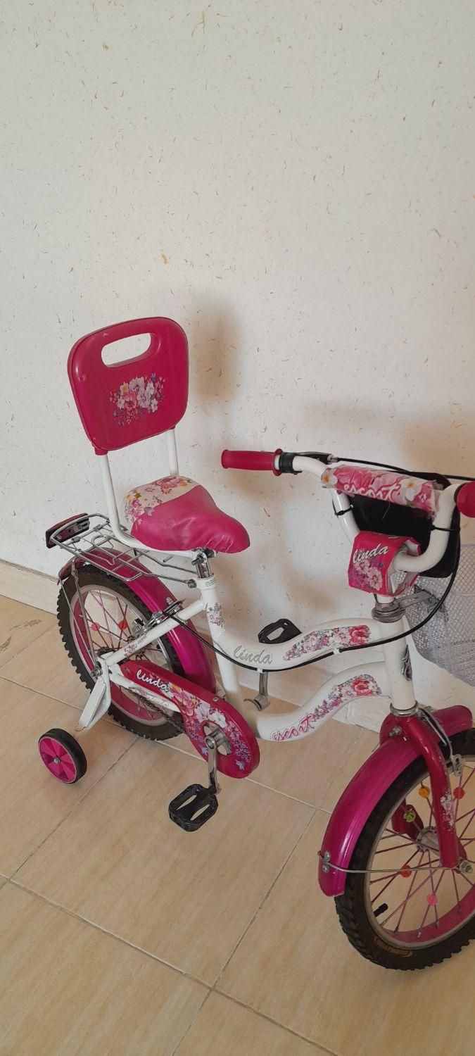 دوچرخه|دوچرخه، اسکیت، اسکوتر|صدرا-فارس, فاز ۱|دیوار