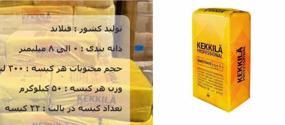 پیت ماس پیتماس ککیلا|گل و گیاه طبیعی|مشهد, دانشجو|دیوار