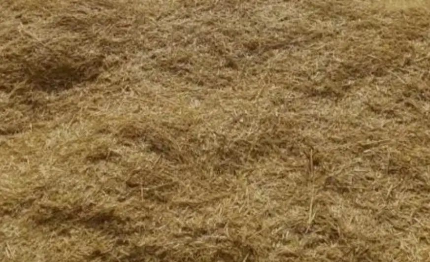 کاه گندم دیمی|حیوانات مزرعه|تهران, فلاح|دیوار
