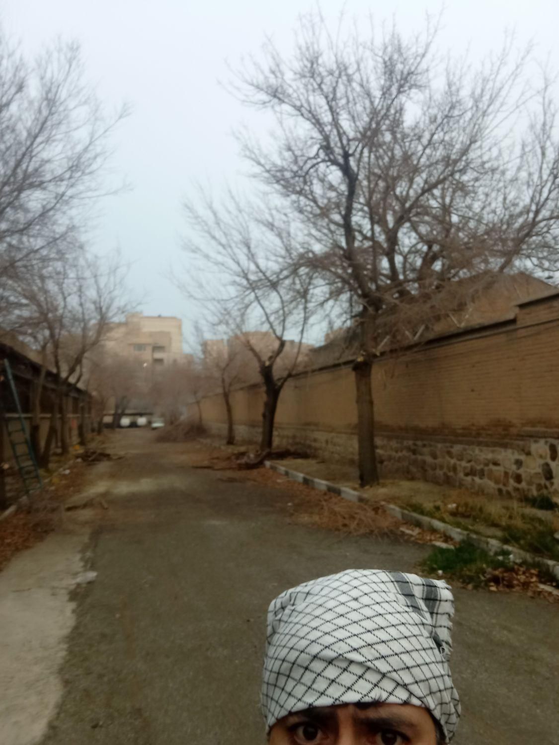 اره موتوری و اره برقی قطع و هرس درخت خرید چوب|خدمات باغبانی و درختکاری|تهران, ایران|دیوار