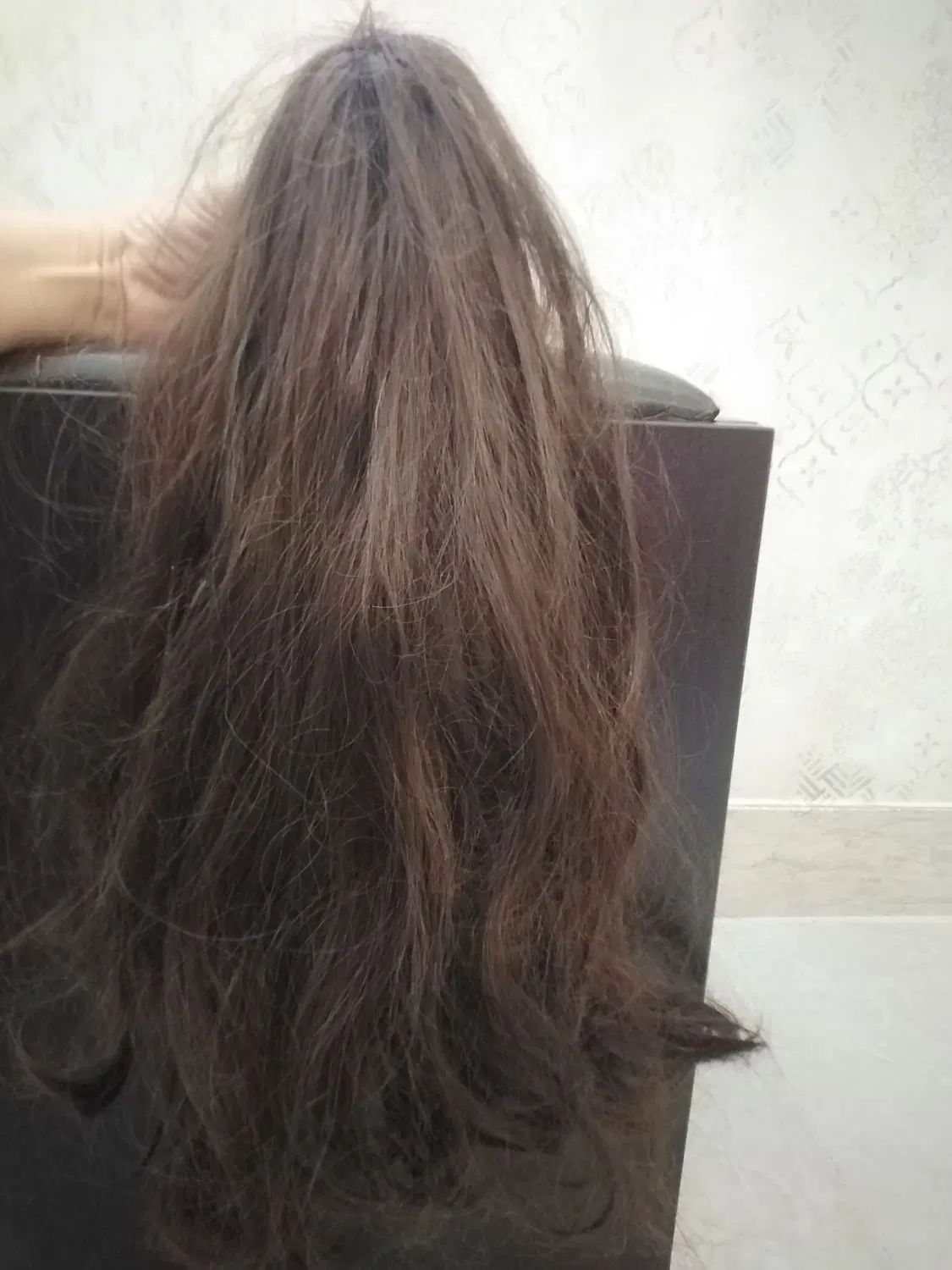موی کلیپسی|آرایشی، بهداشتی، درمانی|رشت, استقامت ۱|دیوار
